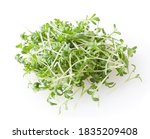 Small photo of Heap of micro greens garden cress sprouts l isolated on white background
