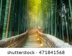 Arashiyama Bamboo Forest In ...