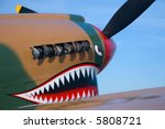 The Painted Nose Of A P 40...