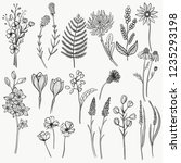 collection of hand drawn floral ... | Shutterstock .eps vector #1235293198