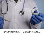 stomatology doctor holds... | Shutterstock . vector #2103442262