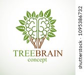 tree brain concept  the wisdom... | Shutterstock .eps vector #1095386732