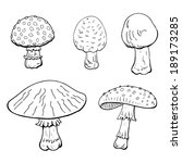 Mushrooms On White Background....