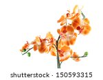 Orange Orchid Isolated On A...