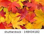 Colorful Background Of Autumn...
