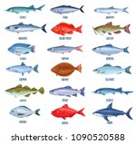 Set Vector Fish. Illustration...