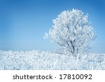 Alone frozen tree blue toned. white winter