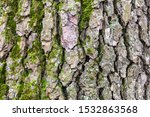 Natural Texture   Grooved Bark...