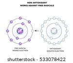 how antioxidant works against... | Shutterstock .eps vector #533078422