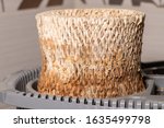 Small photo of Very dirty humidifier filter with dust, descale, hair and mold