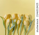 Yellow Tulip Flowers Pattern On ...