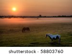 Crayford Marshes At Sunrise