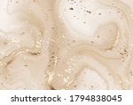 fluid marble canvas abstract... | Shutterstock .eps vector #1794838045