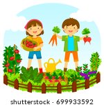 two kids picking vegetables in... | Shutterstock .eps vector #699933592