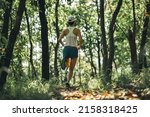 Woman Runner Running On Forest...