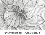 Flower Line Drawings