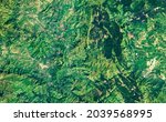 Satellite photo of forest or jungle, summer topography. Aerial view of green land as abstract map texture background. Nature pattern in satellite picture. Elements of this image furnished by NASA.