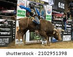 Small photo of New York, NY - January 7, 2022: Cody Nance of Paris, Tennessee rides a bull during PBR Unleash The Beast at Madison Square Garden