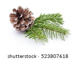 Fir Tree Branch And Cones...