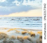 Small photo of Baltic sea shore (desert, beach) under blue sky with glowing sunset clouds. Sand dunes and plants (dune grass, Ammophila). Denmark. Nature, environment, ecotourism. Picturesque scenery. Aerial view