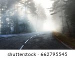 Asphalt road (highway) through the evergreen pine forest in a white fog. French Alsace, France. Atmospheric autumn landscape. Travel destinations, vacations, freedom, ecotourism, pure nature
