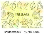 Pictograms Set  Tree Leaves ...