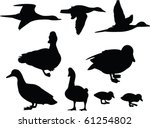 duck silhouette collection  ... | Shutterstock .eps vector #61254802