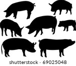 Pig Collection   Vector
