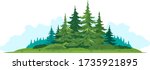 composition of spruce forest... | Shutterstock .eps vector #1735921895