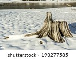 Tree Stump In Winter Snow