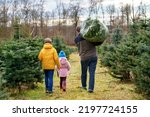 Happy family, man and two children with Christmas tree on fir tree cutting plantation. Preschool girl, kid boy and father choosing, cut and felling own xmas tree in forest, family tradition in Germany