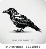 raven hand drawn high quality... | Shutterstock .eps vector #83215858