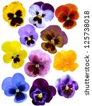 Set Of Pansies Isolated On...