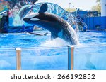 Small photo of ORLANDO, USA - March 30, 2015: Killer Whales perform during the Shamu Show at Sea World Orlando - one of the most visited amusement park in the United States on March 30, 2015 in Orlando, Florida, USA