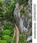 Small photo of Aerial drone panorama above a narrow canyon sided by vertical, abrupt, steep cliffs. The gorges are located in Carpathia, Romania. Spring season, the tree leaves are bright green.