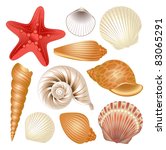 seashells collection | Shutterstock .eps vector #83065291
