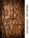 Bark Of Pine Tree