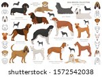 Hunting Dogs Collection...