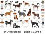 Hunting Dog Vector Clipart image - Free stock photo - Public Domain ...