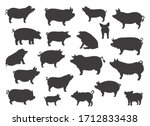 Pig Breeds Collection. Farm...