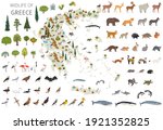 flat design of greece wildlife. ... | Shutterstock .eps vector #1921352825