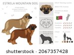 Estrela Mountain Dog Clipart....