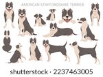 american staffordshire terrier...
