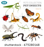 Pet Insects Breeds Icon Set...