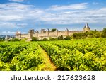Vineyards In Carcassonne  France