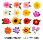 big of beautiful colorful... | Shutterstock .eps vector #117794488