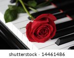 Red Rose On The Piano Keys