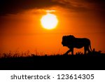 Silhouette Of A Lion Against...