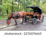 Small photo of picture of a vintage horse-drawn carriage standing on the side of a road