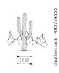 Hand Drawn Cactus. Vector...